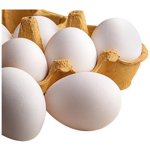 Fresho Farm Eggs - Regular, Medium, Antibiotic Residue-Free, 6 pcs  