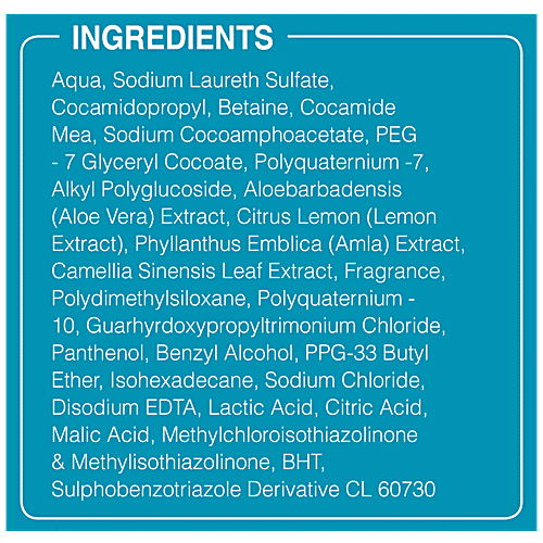 Nyle Pollution Shield Shampoo, 400 ml  