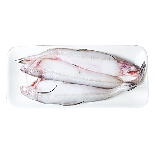 Buy fresho! Bombay Duck Online at Best Price of Rs 1709 bigbasket