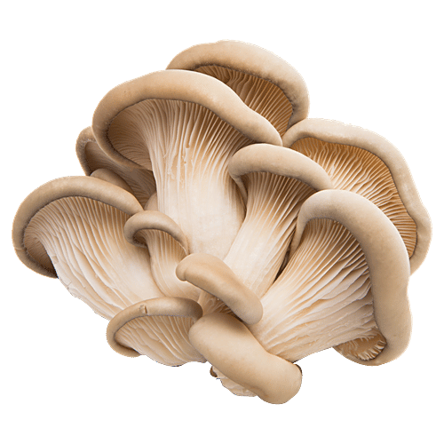 Buy fresho! Mushrooms Oyster, Dried Online at Best Price of Rs 174