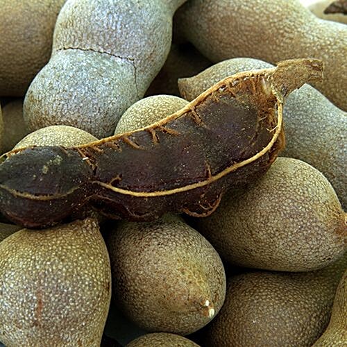 Fresho Sweet Tamarind/God Chinch, 200 g  