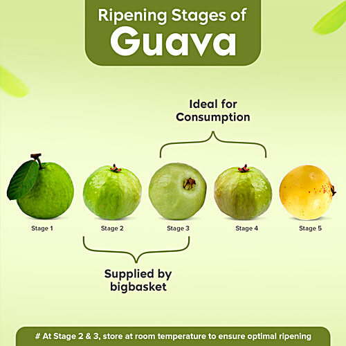 Fresho Guava - Thai, 1 pc  