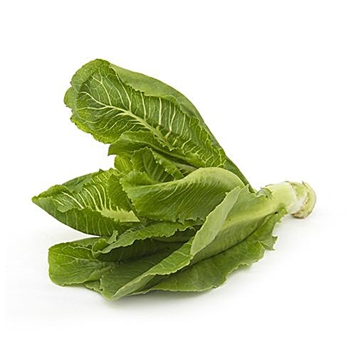 Buy Fresho Lettuce Romaine 250 Gm Online at the Best Price of Rs 16