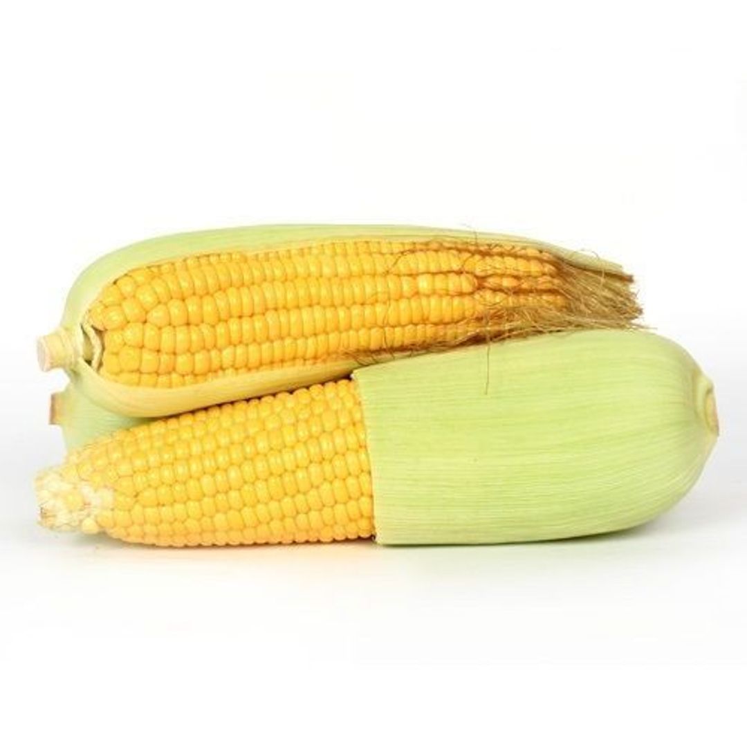 Organic Sweet Corn, 1 pc Shrink Wrap