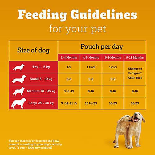 Pedigree Puppy Wet Dog Food - Chicken Chunks In Gravy, 70 g Pouch Complete & Balanced Meal