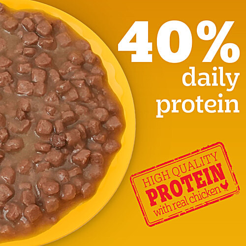 Pedigree Puppy Wet Dog Food - Chicken Chunks In Gravy, 70 g Pouch Complete & Balanced Meal