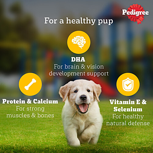 Pedigree Puppy Wet Dog Food - Chicken Chunks In Gravy, 70 g Pouch Complete & Balanced Meal