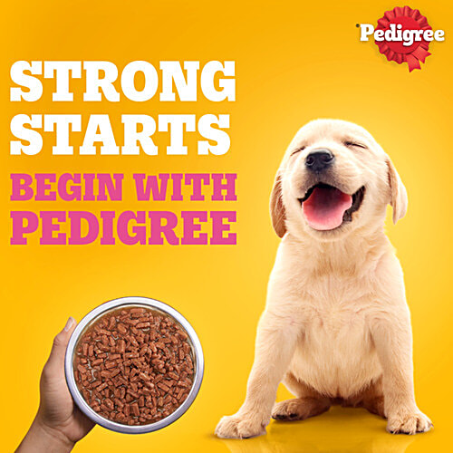 Pedigree Puppy Wet Dog Food - Chicken Chunks In Gravy, 70 g Pouch Complete & Balanced Meal