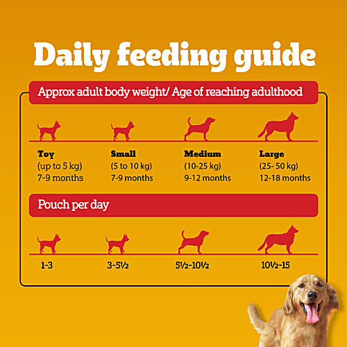 Pedigree Chicken & Liver Chunks In Gravy Adult Wet Dog Food, 70 g  Healthy Muscles & Bones, Protein & Calcium, Healthy Digestive System, Dietary Fibre