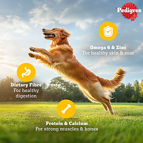 Pedigree Chicken & Liver Chunks In Gravy Adult Wet Dog Food, 70 g  Healthy Muscles & Bones, Protein & Calcium, Healthy Digestive System, Dietary Fibre