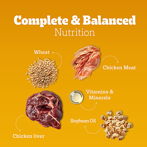 Pedigree Chicken & Liver Chunks In Gravy Adult Wet Dog Food, 70 g  Healthy Muscles & Bones, Protein & Calcium, Healthy Digestive System, Dietary Fibre