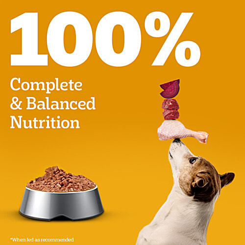 Pedigree Chicken & Liver Chunks In Gravy Adult Wet Dog Food, 70 g  Healthy Muscles & Bones, Protein & Calcium, Healthy Digestive System, Dietary Fibre