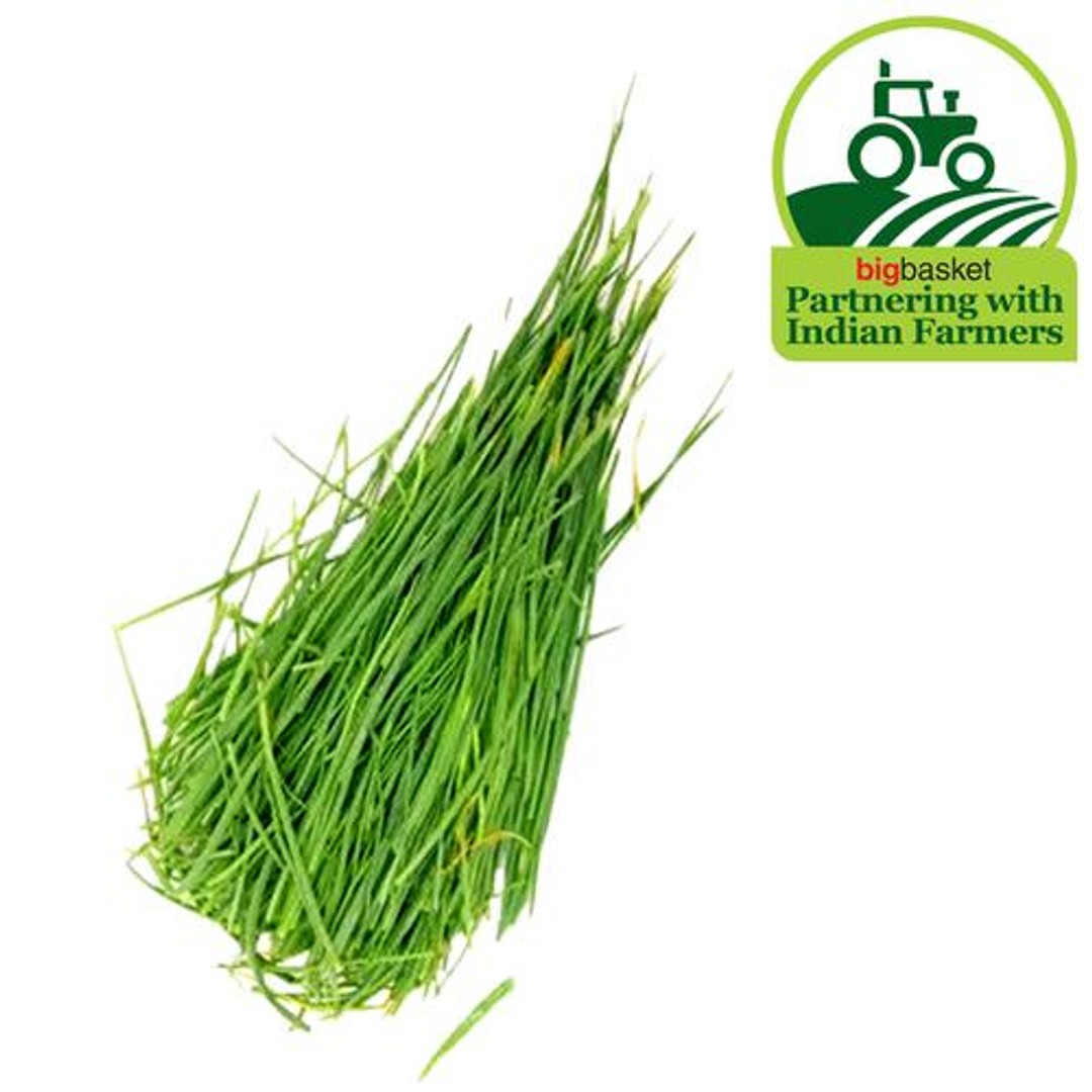Buy Fresho Garlic Chives Online at Best Price of Rs null bigbasket