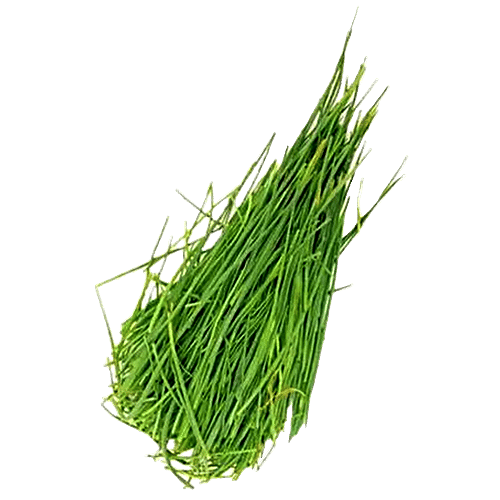 Buy fresho! Garlic Chives Online at Best Price of Rs 32 bigbasket