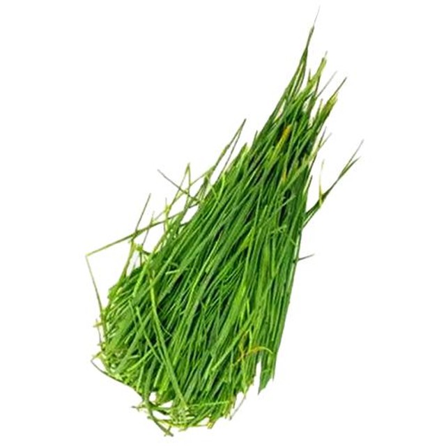 Buy Fresho Garlic Chives Online at Best Price of Rs null bigbasket