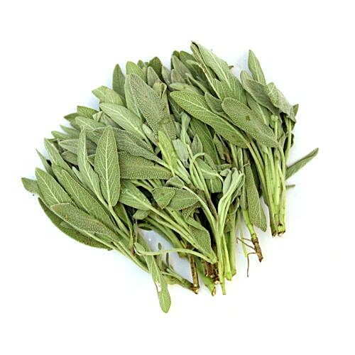 Sage Leaves In Hindi