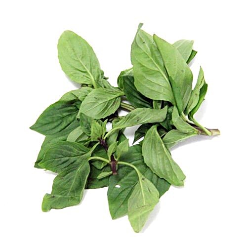Buy fresho! Thai Sweet Basil Online at Best Price of Rs 400 bigbasket