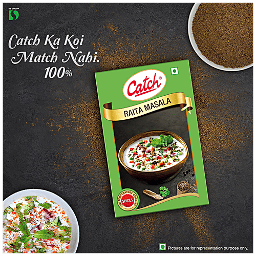 Catch Raita Masala - Enhances Flavour, 100 g Carton Low Temperature Grinding Spices