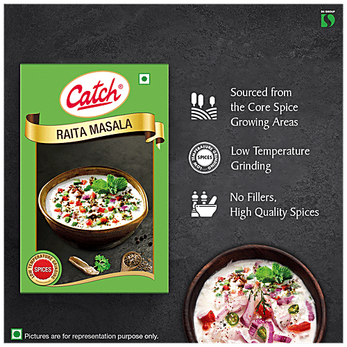 Catch Raita Masala - Enhances Flavour, 100 g Carton Low Temperature Grinding Spices