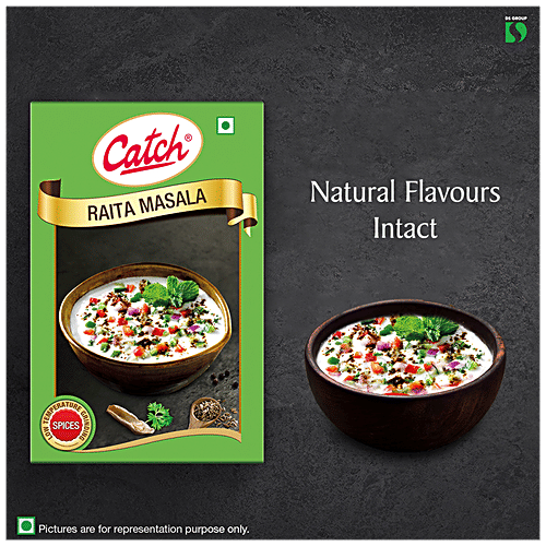 Catch Raita Masala - Enhances Flavour, 100 g Carton Low Temperature Grinding Spices