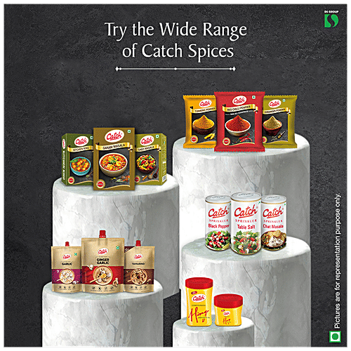 Catch Raita Masala - Enhances Flavour, 100 g Carton Low Temperature Grinding Spices