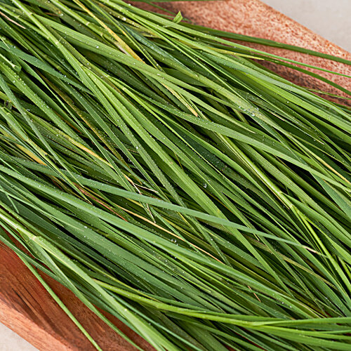 fresho! Durva Grass/Garike, Darbe/Darbe Hullu, 20 g