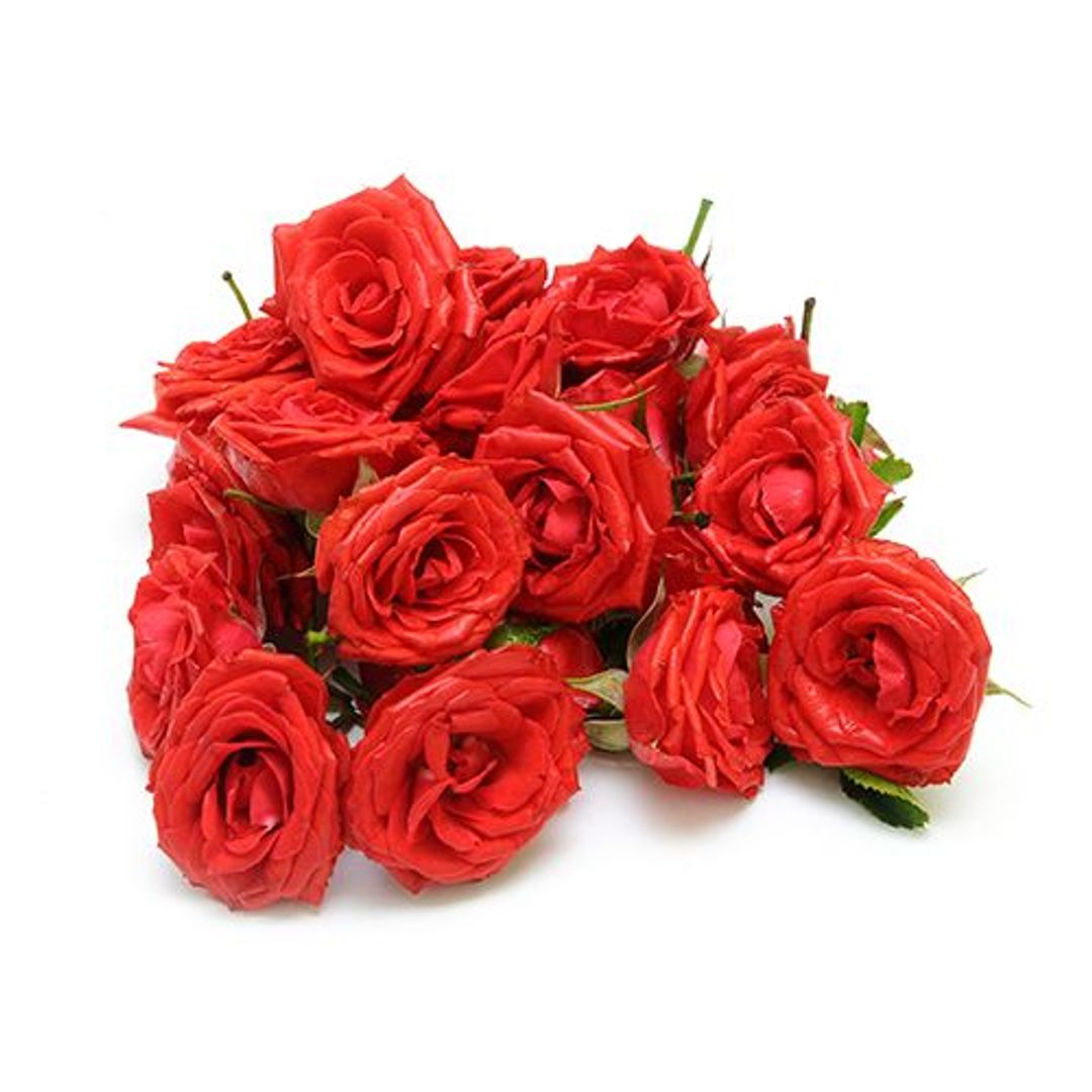 Fresho Rose - Red Flower, 500 g 