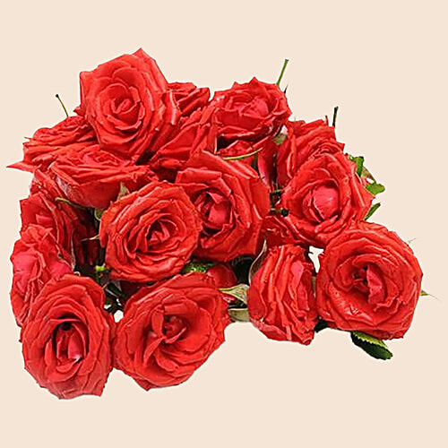 fresho! Rose - Red, 500 g  