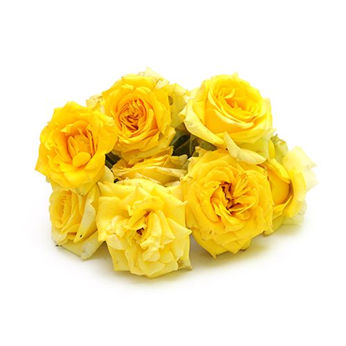 Fresho Rose - Yellow, 500 g  