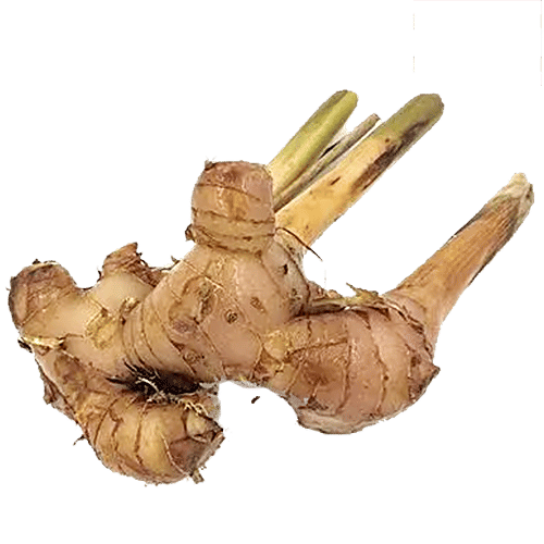 Buy Fresho Thai Ginger 100 Gm Online At Best Price of Rs 42 bigbasket