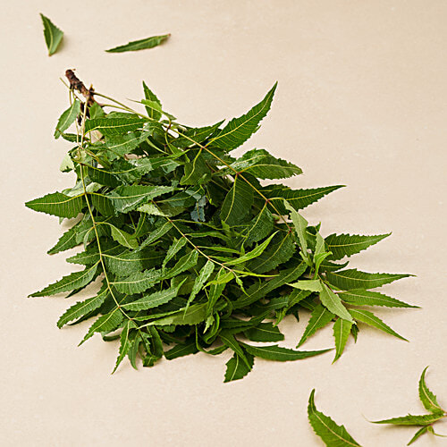 fresho! Neem Leaves - Organically Grown, 50 g  