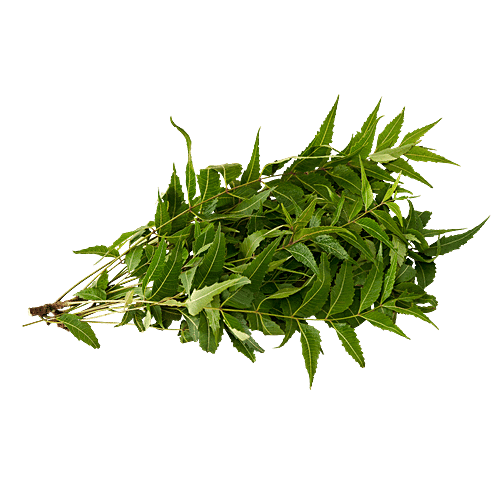 fresho! Neem Leaves - Organically Grown, 50 g  