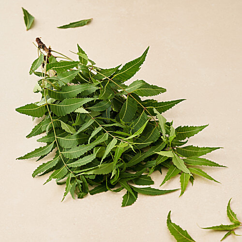 fresho! Neem Leaves - Organically Grown, 50 g  