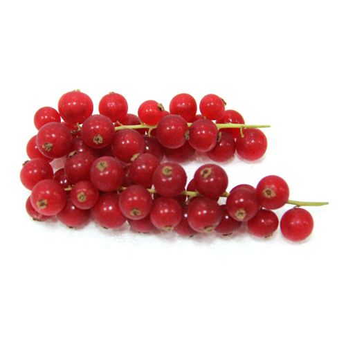 Buy Fresho Red Currant at Best Price of Rs 688 - bigbasket