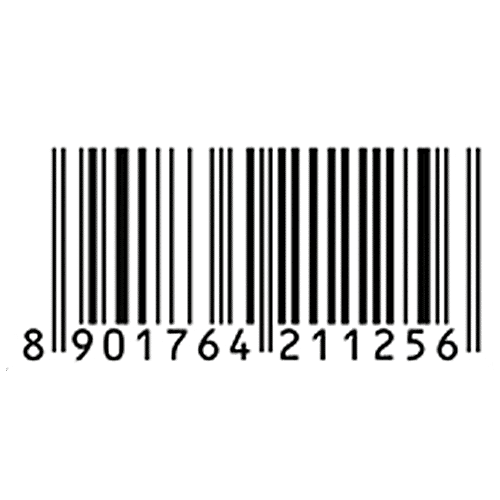 Schweppes Original Ginger Ale Flavoured Soft Drink - Refreshing Taste & Delicious Flavour, 300 ml Can Zero Fat