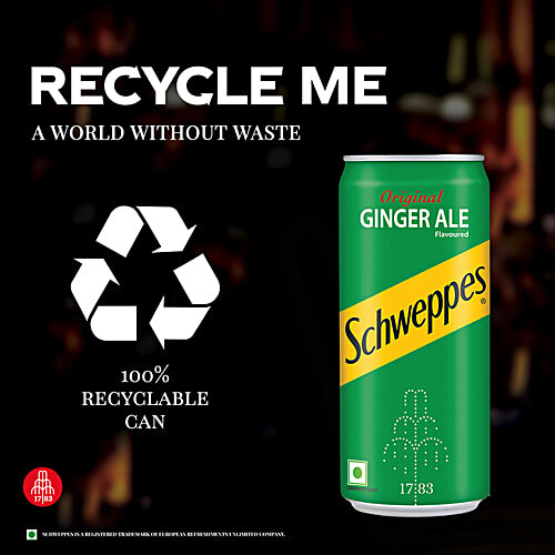 Schweppes Original Ginger Ale Flavoured Soft Drink - Refreshing Taste & Delicious Flavour, 300 ml Can Zero Fat