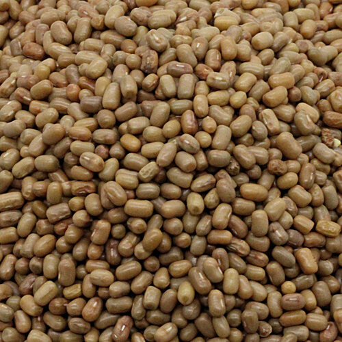 bb Royal Moth/Patanga Huruli - Whole, 500 g Pouch