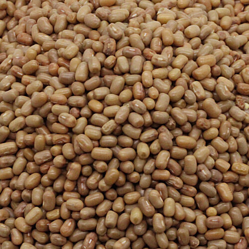 bb Popular Moth/Patanga Huruli - Whole, 500 g Pouch 