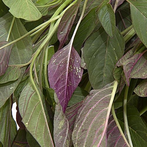 Fresho Amaranthus - Red, 1 kg  