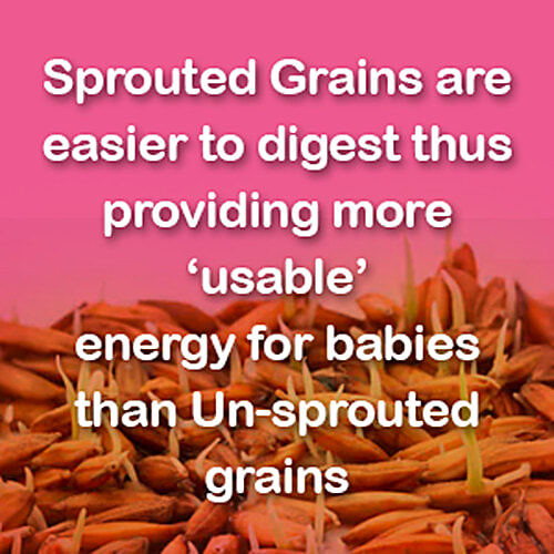 Manna Manna Baby Cereal 200g, Sprouted Ragi & Rice, 6+ Months, Baby Food,Infant Food, 200 g Carton 