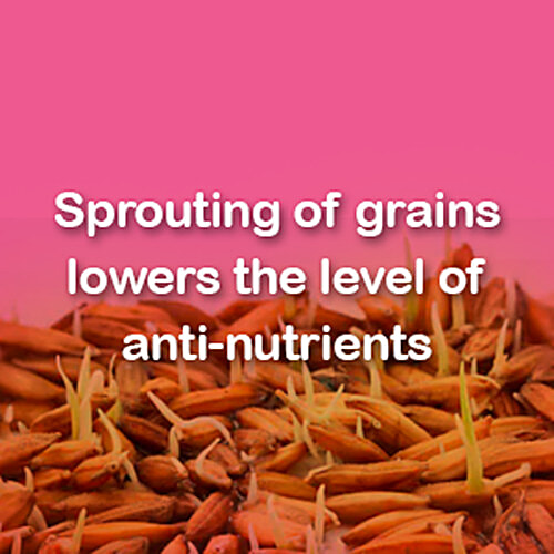 Manna Manna Baby Cereal 200g, Sprouted Ragi & Rice, 6+ Months, Baby Food,Infant Food, 200 g Carton 