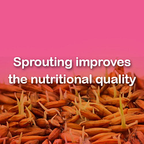 Manna Manna Baby Cereal 200g, Sprouted Ragi & Rice, 6+ Months, Baby Food,Infant Food, 200 g Carton 