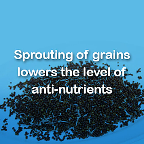 Manna Manna Baby Cereal 200g, Sprouted Ragi & Pulses, 6+ Months, Baby Food, Infant Food, 200 g Carton