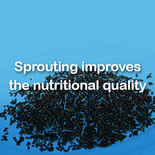 Manna Manna Baby Cereal 200g, Sprouted Ragi & Pulses, 6+ Months, Baby Food, Infant Food, 200 g Carton