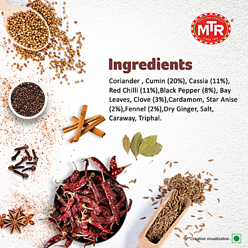 MTR Special Garam Masala, 100 g Pouch 