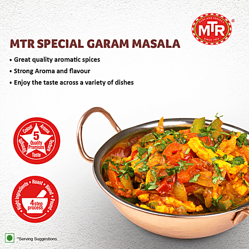 MTR Special Garam Masala, 100 g Pouch 