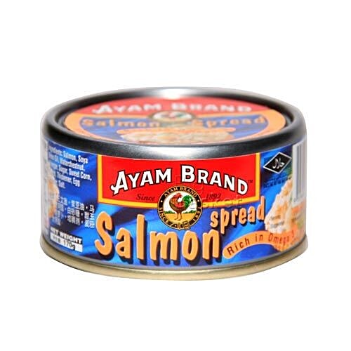 Buy Ayam Brand Spread Salmon in mayonnaise Online at Best Price of Rs null bigbasket