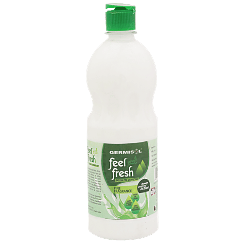Buy Feel Fresh Floor Cleaner Pine 750 ml Bottle Online at Best Price