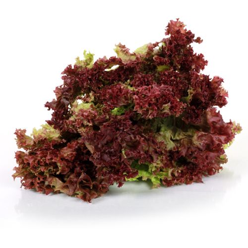 Fresho Lettuce - Red, 70 to 100 g (Bunch)  