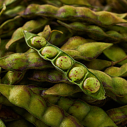 fresho! Beans - Togari (Loose), 1 kg  